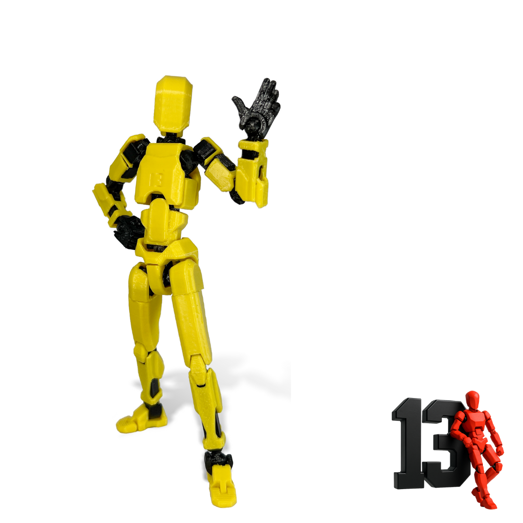 Dummy 13
