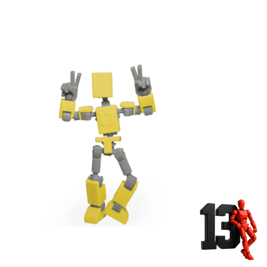 Mini 13