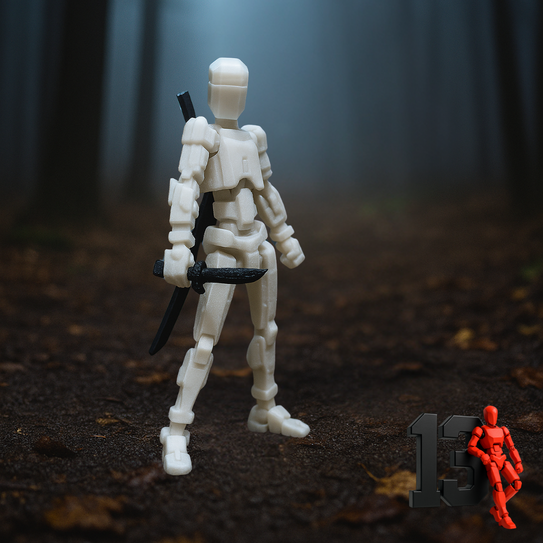 Dummy 13 Edición Especial