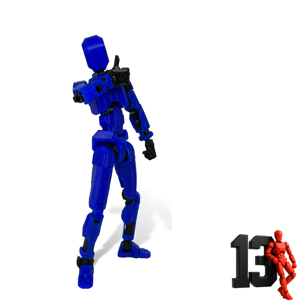 Dummy 13