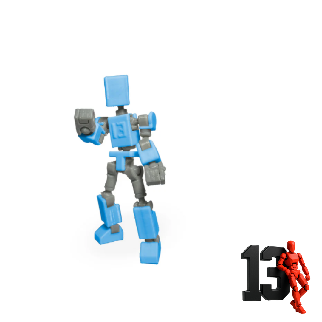Mini 13