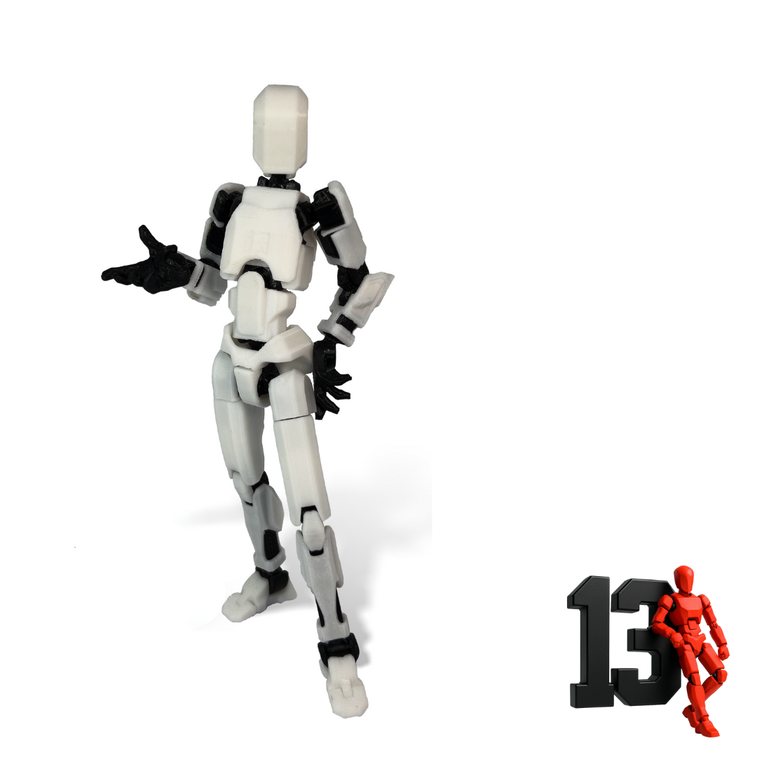 Dummy 13