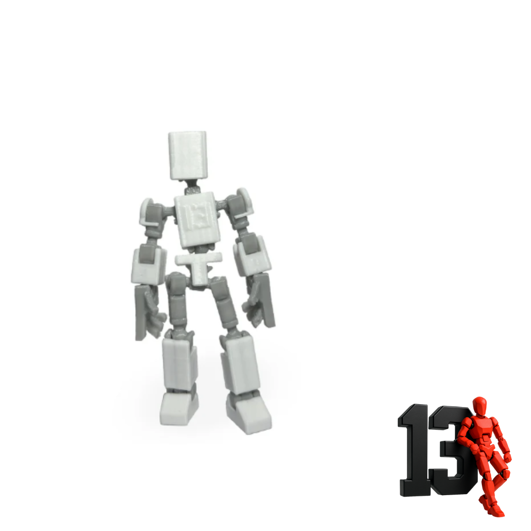 Mini 13