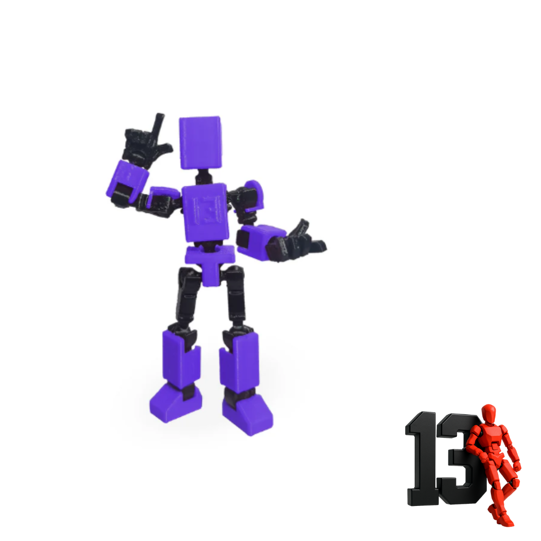 Mini 13