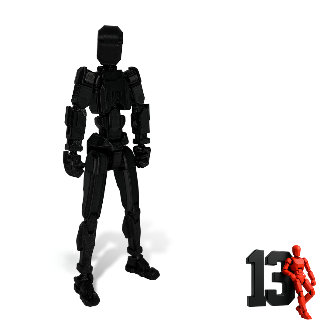 Dummy 13