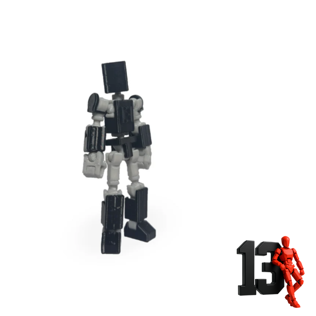 Mini 13