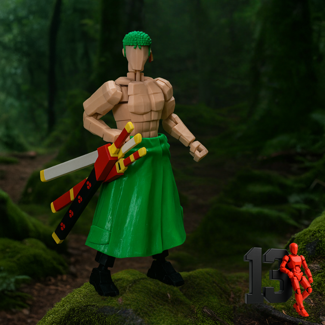 Pirate Hunter T13