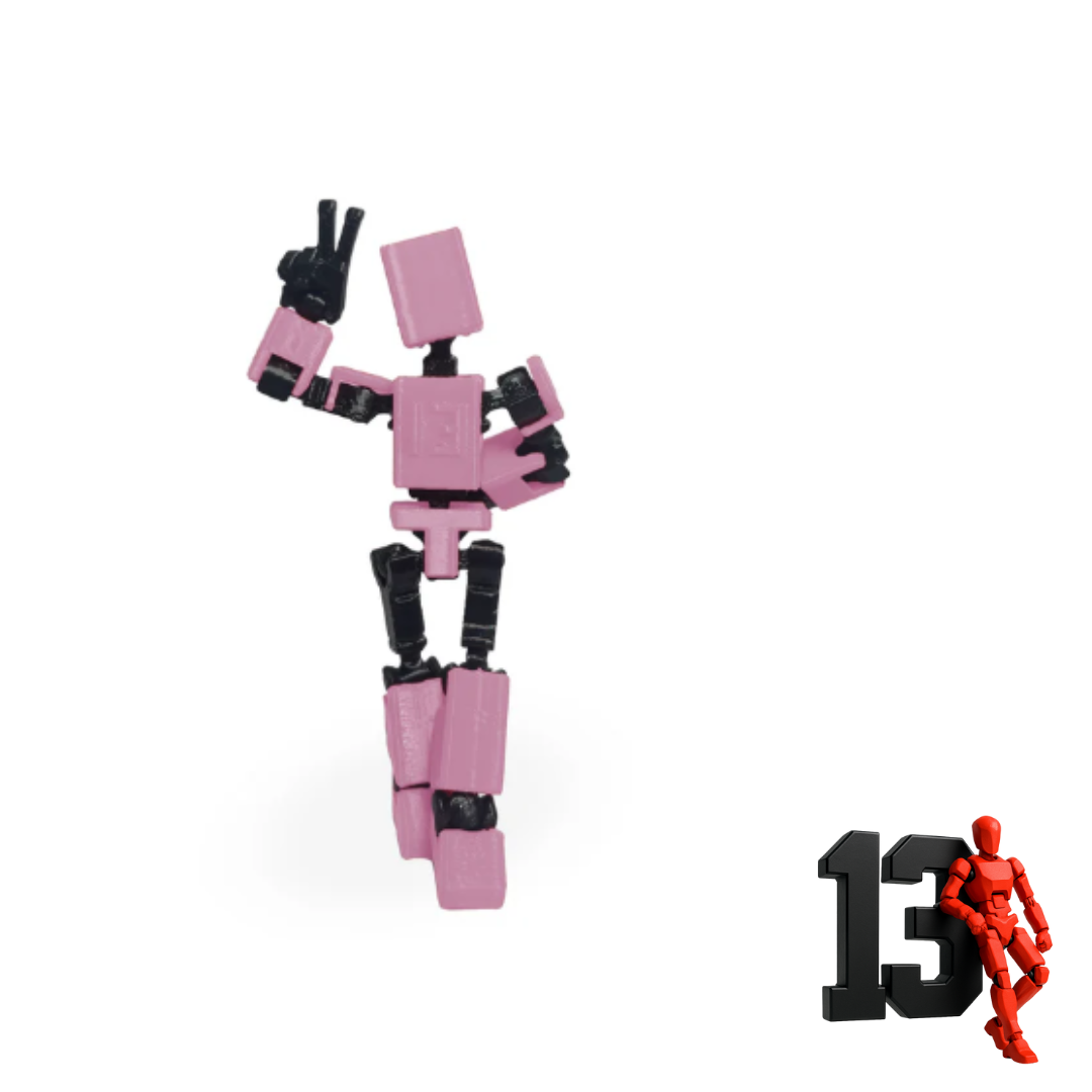 Mini 13